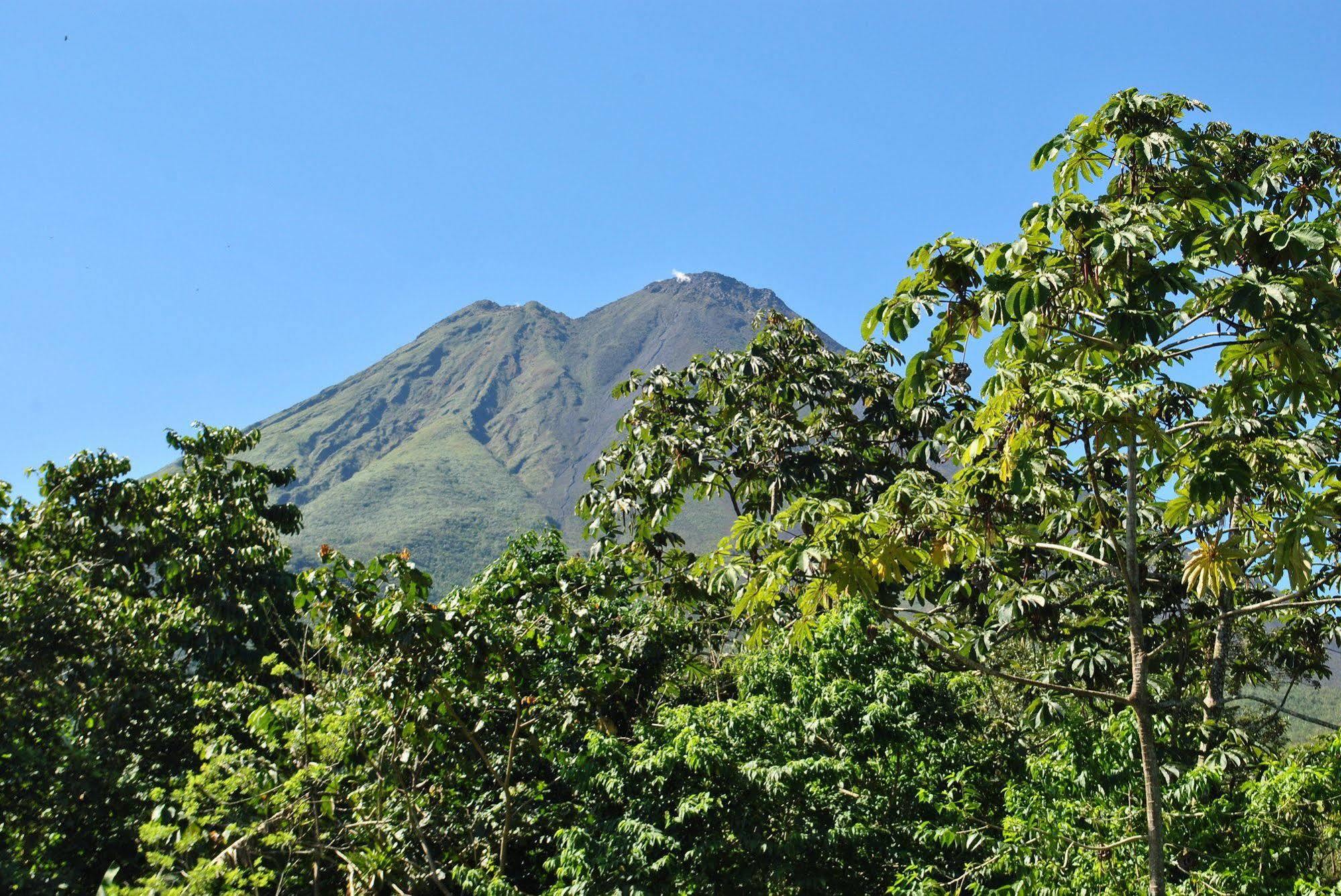Hotel Las Orquideas La Fortuna 외부 사진